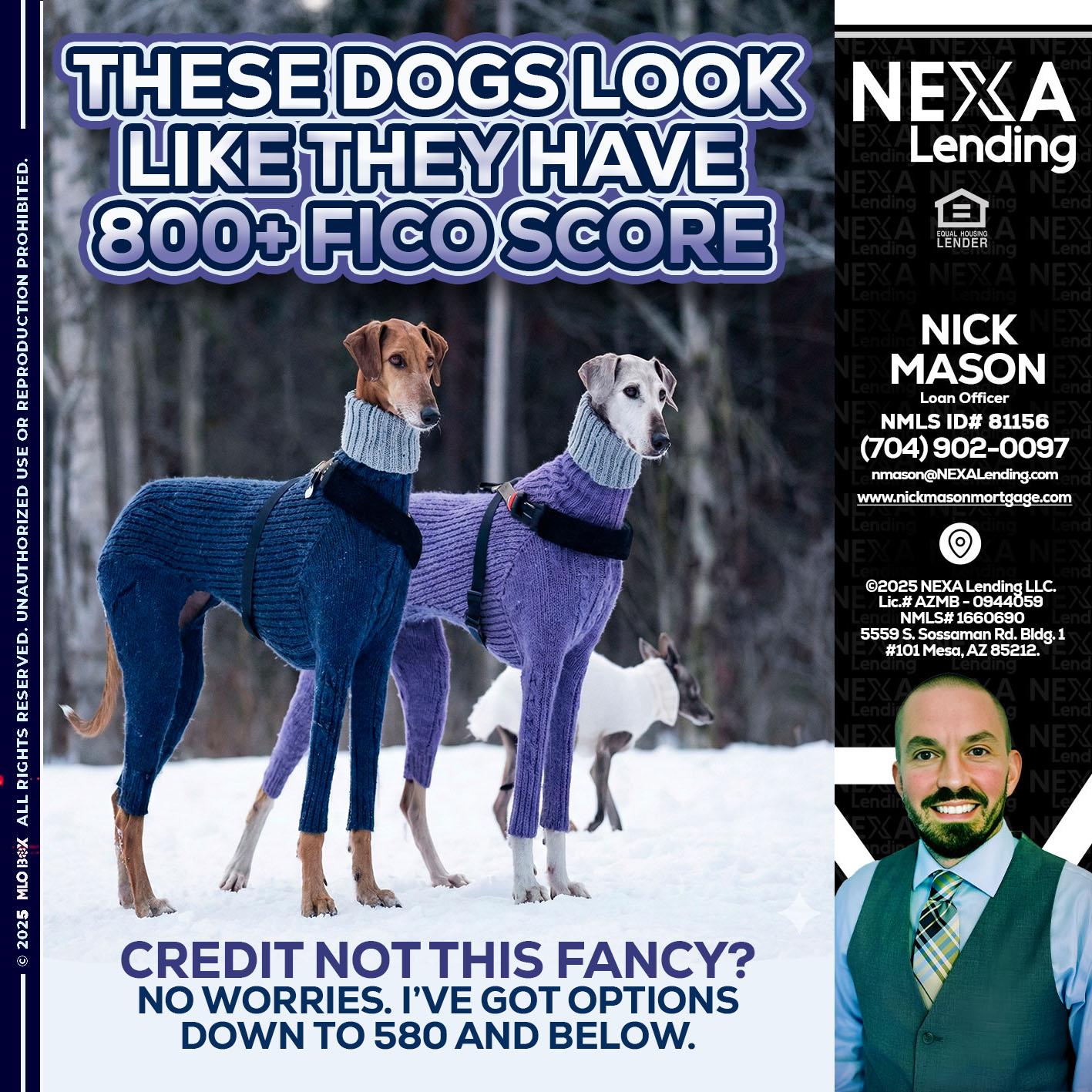 THESE DOGS LOOK - Nick Mason -Loan Officer